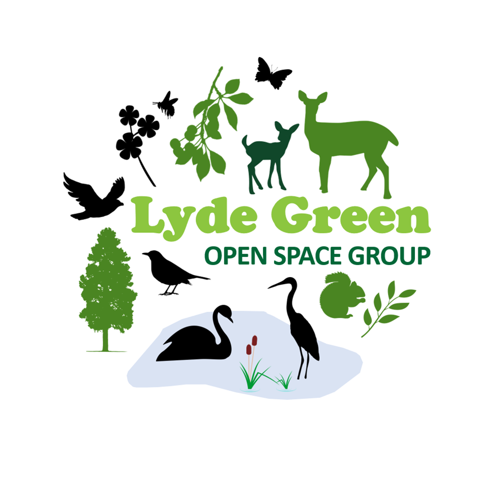 Lyde Green Open Space Group Logo